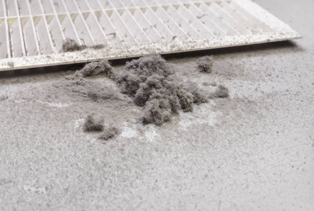Best Duct Cleaning for Homes  in Pell City, AL
