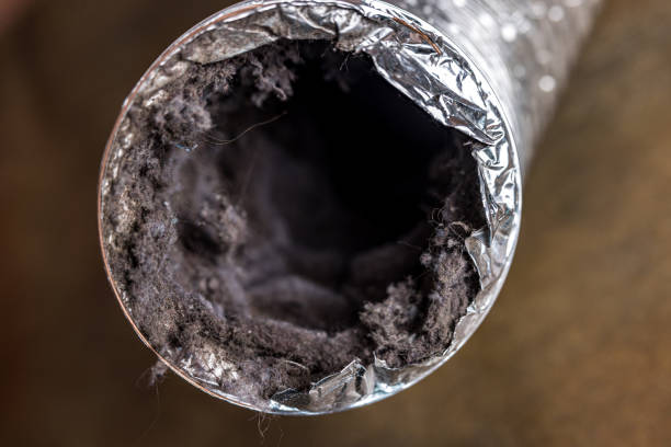 Best Affordable Air Duct Cleaning  in Pell City, AL