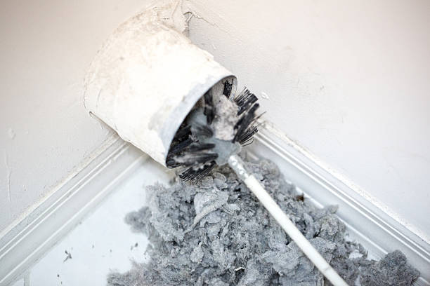 Best Professional Duct Cleaning Services  in Pell City, AL